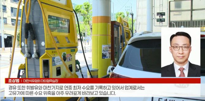 13일 이데일리TV 뉴스 방송