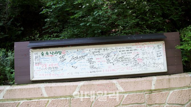 무건리 이끼폭포 가는 임도길에 있는 숲속 낙서장에는 다양한 사람들의 낙서들이 쓰여져 있다.