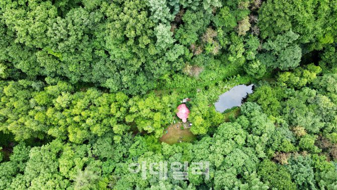 강원도 홍천 화촌면 숲속 깊숙한 곳에 자리한 ‘나는 숲이다’의 트리하우스. 이 집은 다큐멘터리 감독이었던 최기순 씨는 이곳 오지 땅에 러시아 자연보호구역에 사는 사람들의 집, ‘까르돈’에서 영감을 얻어 그만의 공간을 만들었다.