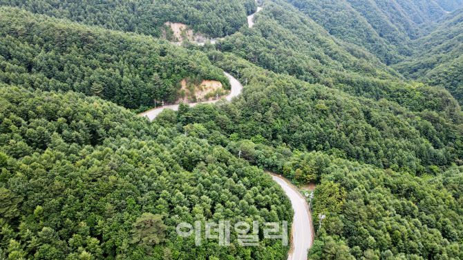 가령폭포에서 인제 상남면으로 이어지는 도로를 따라가면 아홉사리재가 나타난다