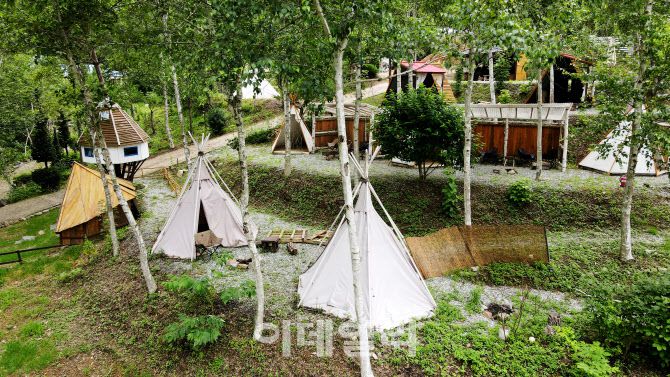 강원도 홍천 화천면의 ‘나는 숲이다’에는 캠프닉을 즐길 수 있는 까르돈 캠핑장이 있다.