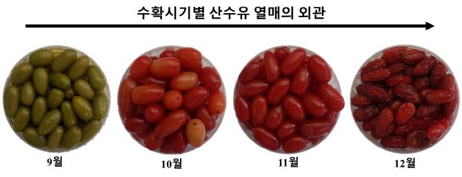 (사진=농진청)