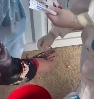 중국 하이난성 방역관이 게를 대상으로 PCR 검사를 실시하고 있다. (사진=@manyapan 트위터 캡처)