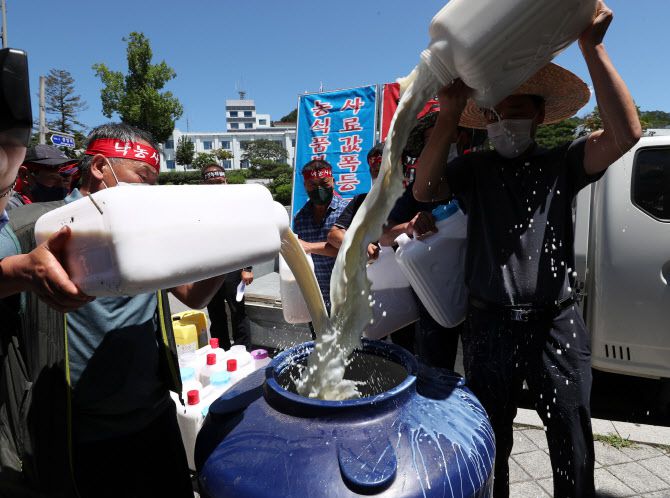 지난달 25일 강원 춘천시 강원도청 앞 공원에서 열린 ‘낙농 말살 정부·유업체 규탄! 강원도 낙농가 총궐기대회’에서 도내 낙농인들이 항의의 의미로 원유를 큰 통에 쏟아붓고 있다. (사진=연합뉴스)