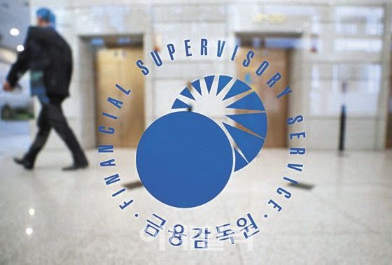 (사진=금융감독원)