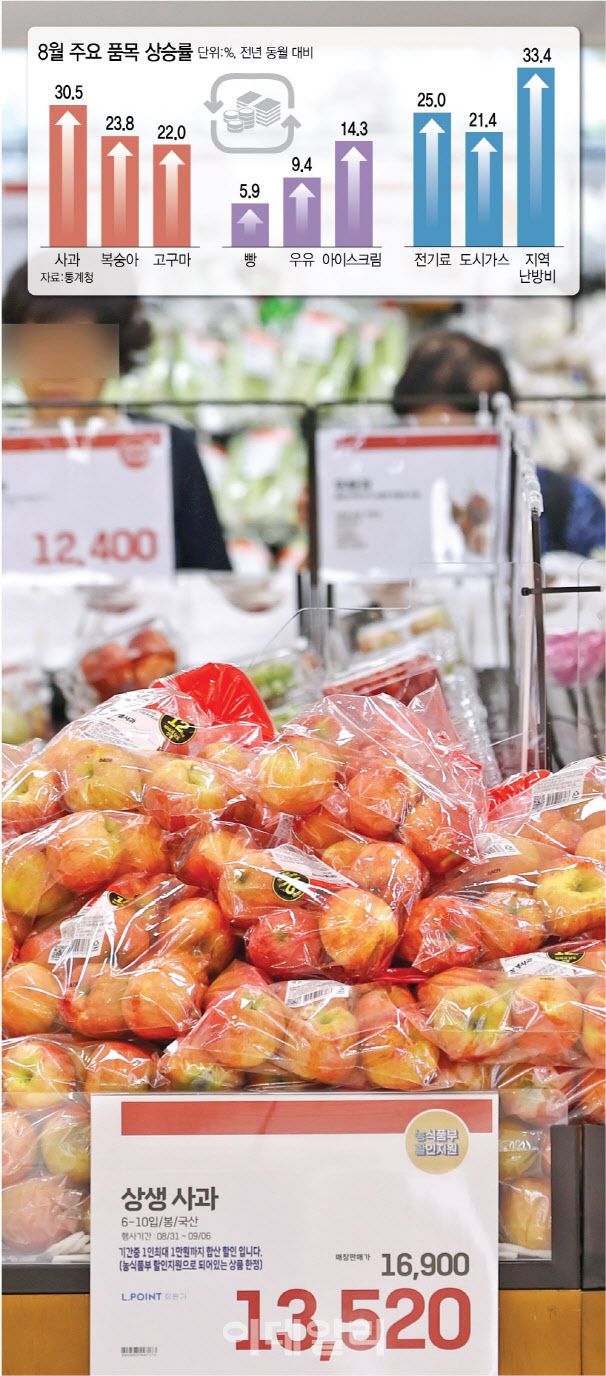 [이데일리 김정훈 기자]