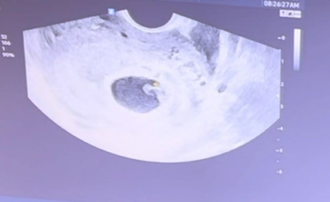 (사진=오상진 SNS)