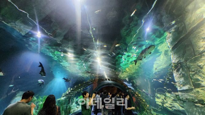 21일 베트남 하노이 롯데몰 웨스트레이크 하노이 아쿠아리움에서 관람객들이 물고기를 보고 있다. (사진=백주아 기자)