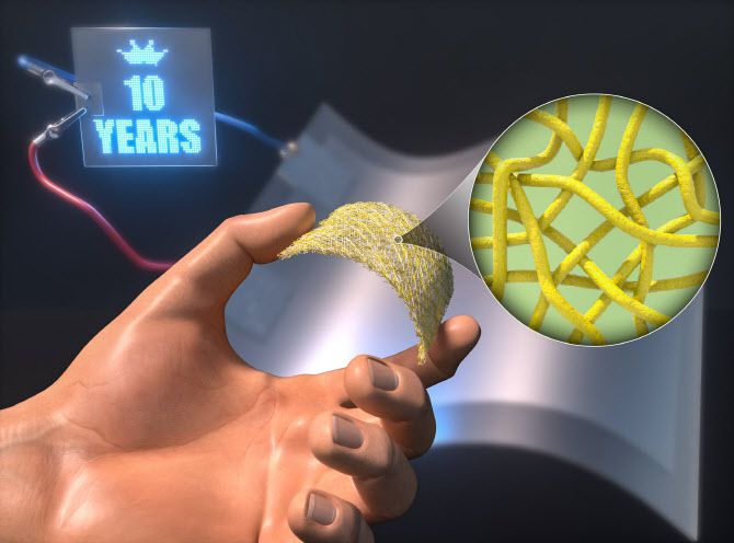 연구 이미지.(자료=한국기초과학지원연구원)