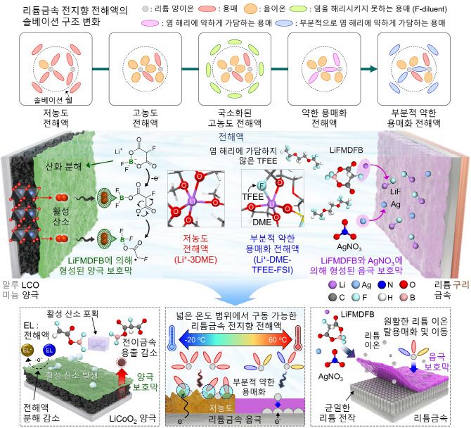 전해액의 솔베이션 구조 변화(윗부분)과 전해액 조성 작동 원리 모식도(아랫부분).(자료=KAIST)