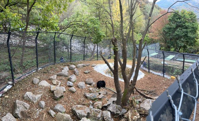 방사장 전경. (사진=곰보금자리프로젝트, 카라 제공)