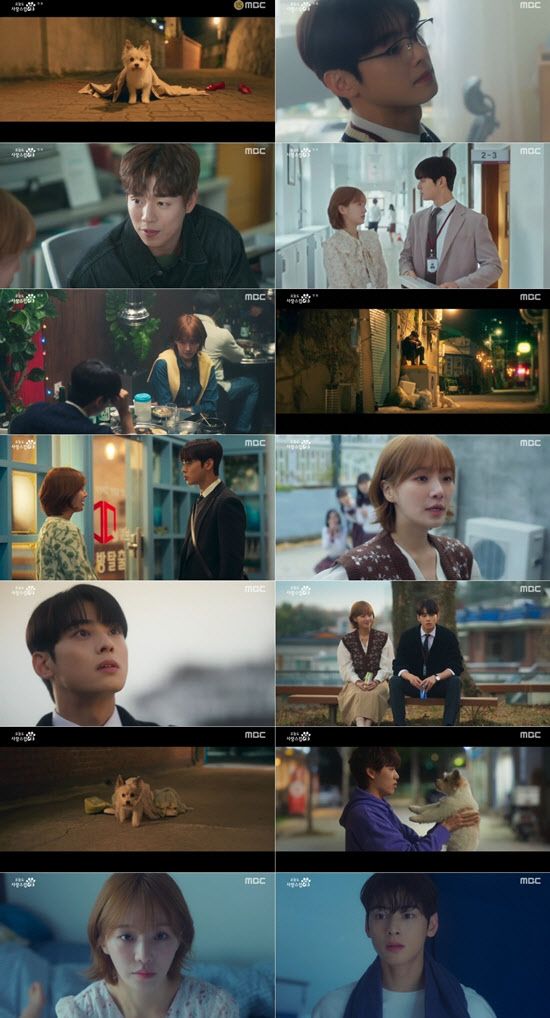 (사진=MBC ‘오늘도 사랑스럽개’)