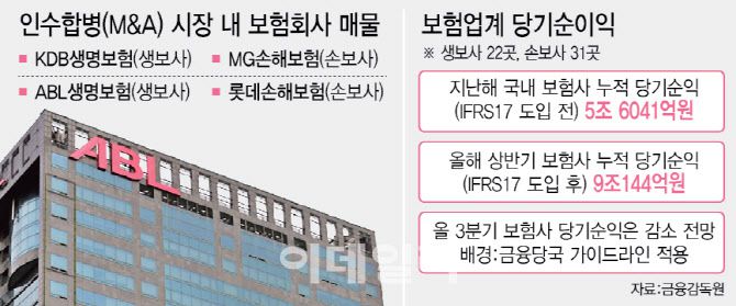 [이데일리 이미나 기자]