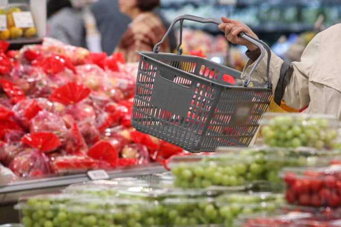 지난 10월 서울 시내 대형마트에서 고객들이 장을 보고 있는 모습.(사진 = 연합뉴스)