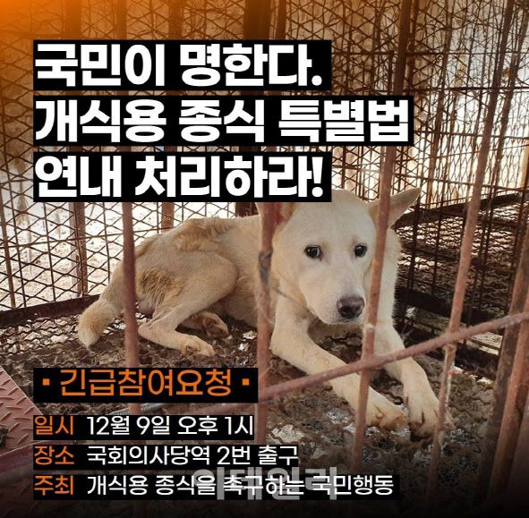 (사진=동물단체 카라 SNS 캡처)