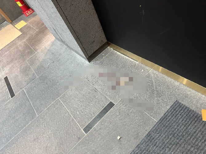 배현진 국민의힘 의원(서울 송파을)이 25일 오후 괴한에게 피습을 당한 서울 강남구 청담동의 현장.(사진=연합뉴스)