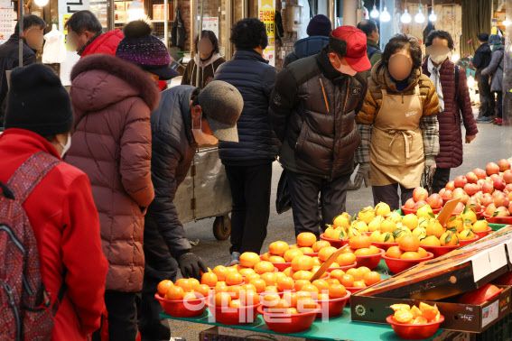 [이데일리 방인권 기자] 사과와 배 등 명절 성수품 가격이 줄줄이 오르면서 설 음식 장만에 드는 비용이 역대 최고치를 기록할 거라는 전망이 나오는 가운데 지난 28일 서울 동대문구 경동시장을 찾은 시민들이 장을 보고 있다.