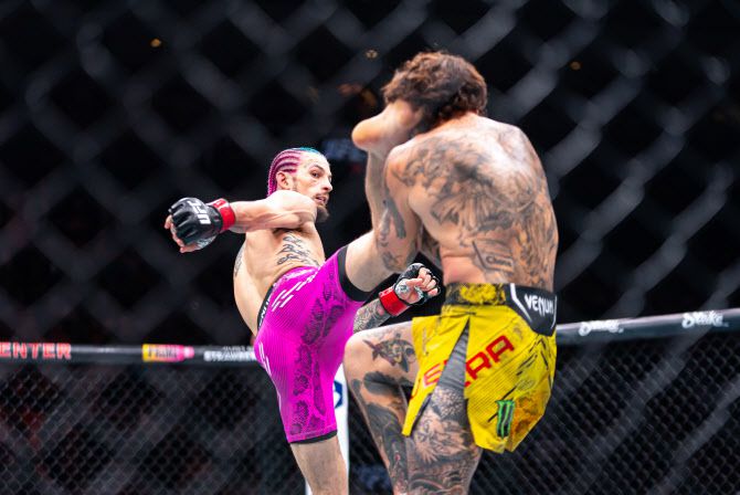 UFC 밴텀급 챔피언 션 오말리. 사진=UFC