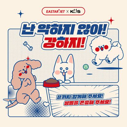 이스타항공 유기견 입양 캠페인 이미지. (사진=이스타항공)
