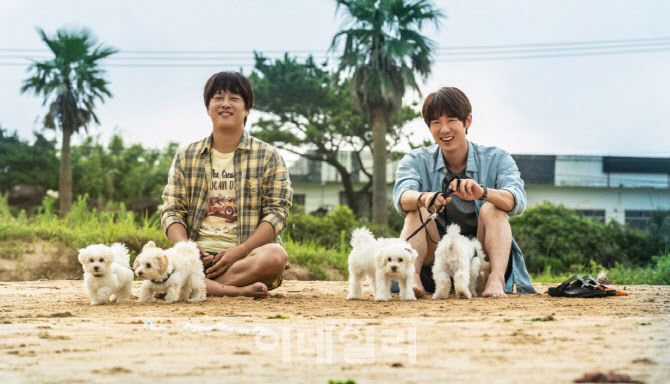 영화 ‘멍뭉이’ 스틸컷.