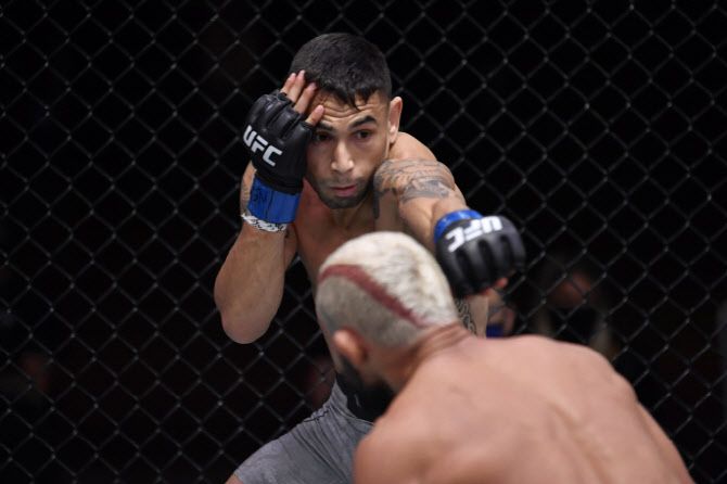 UFC 플라이급 랭킹 8위 알렉스 페레즈. 사진=UFC