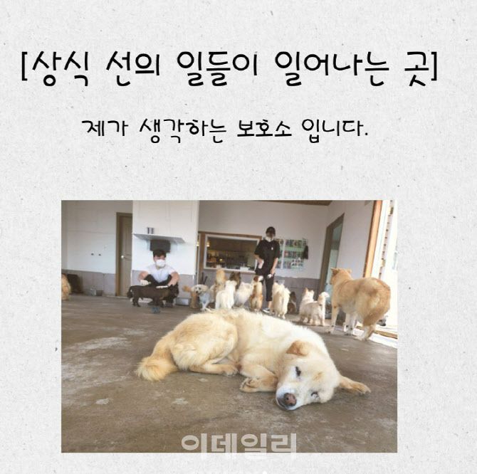 (사진=유기견숲 SNS 캡처)