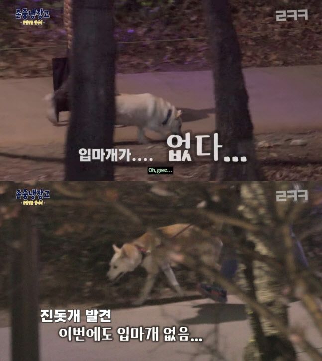 이경규 새 웹예능 ‘존중냉장고’ (사진=‘르크크 이경규 캡처’)