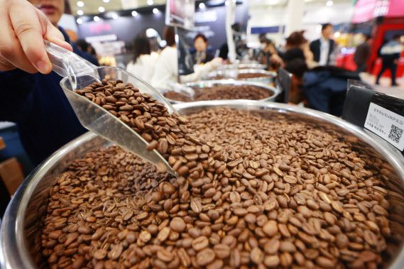 지난 3월 서울 강남구 코엑스에서 열린 2024 서울커피엑스포에 전시된 전세계 지역별 원두.(사진=연합뉴스)