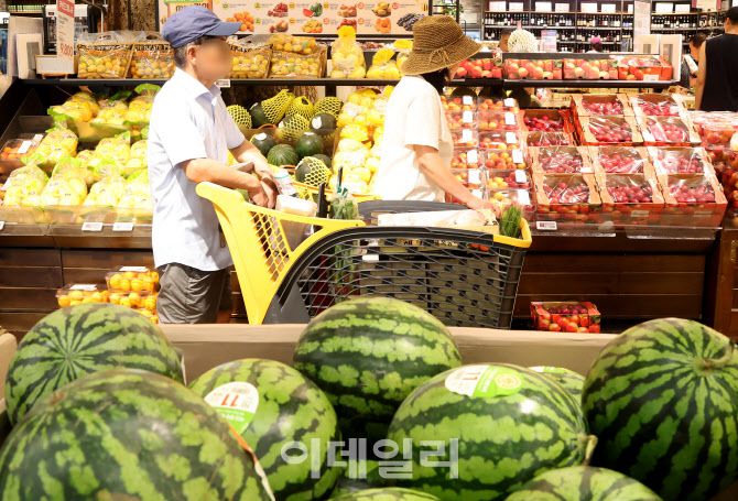 [이데일리 방인권 기자] 지난 21일 서울시내의 한 대형마트를 찾은 시민들이 장을 보고 있다.