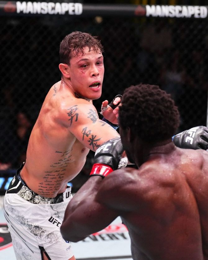 브라질의 카이우 보할류가 재러드 캐노니어에게 펀치를 적중시키고 있다. 사진=UFC