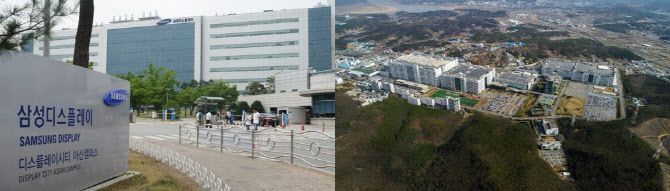 삼성디스플레이 및 LG디스플레이 사업장. (사진=각 사)