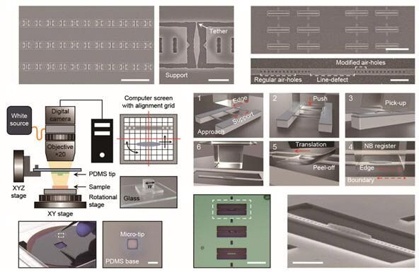 연구논문 이미지.  On-demand minimal-gain printing‘ 기법을 통해 상온 연속파 실리콘 나노레이저를 제작하는 공정. 미리 제작된 실리콘 광결정 나노공진기 위에 InGaAsP 나노 이득물질을 정밀하게 이식하는 과정을 보여줌.