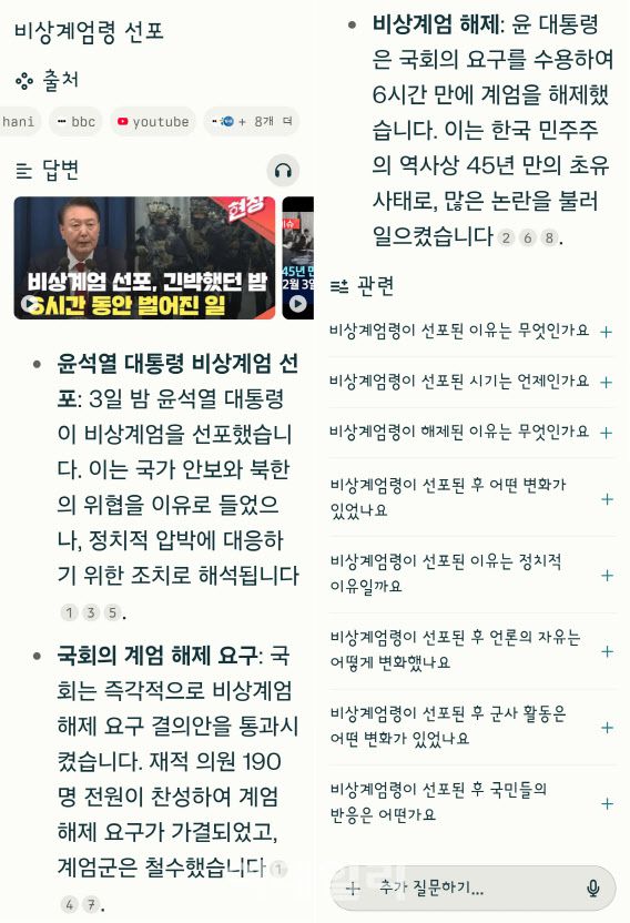 (사진=퍼플렉시티 캡처)