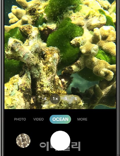 산호초 복원을 위해 개발한 삼성전자 갤럭시 S24의 오션모드(사진=삼성전자)