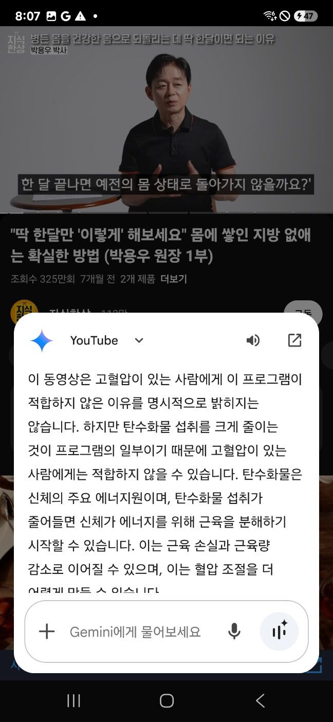 제미나이가 유튜브 내용을 요약해주는 모습(사진=임유경 기자)