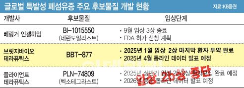 (그래픽=이데일리 김일환 기자)