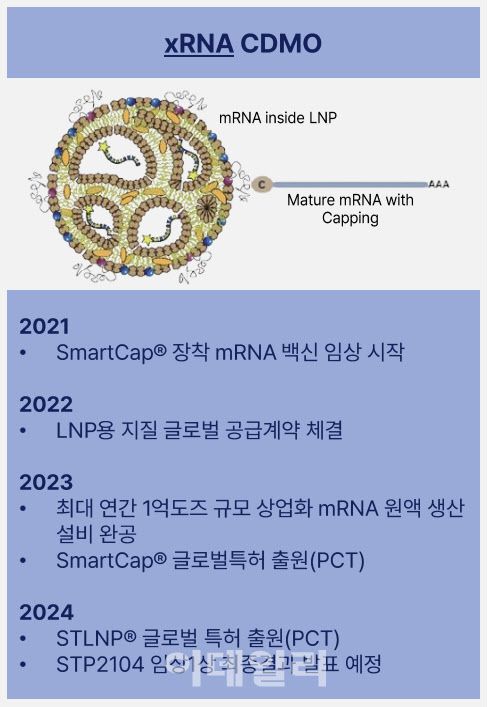 에스티팜 mRNA 사업 내역. (제공=에스티팜)