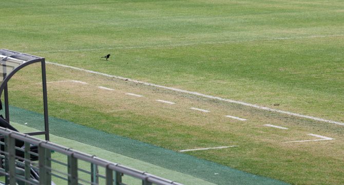 서울월드컵경기장의 손상된 잔디 모습. 사진=연합뉴스