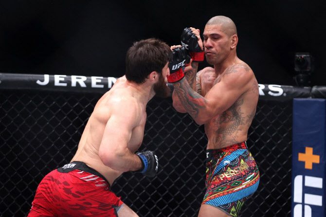 도전자 마고메드 안칼라에프가 챔피언 알렉스 페레이라에게 펀치를 날리고 있다. 사진=AFPBBNews