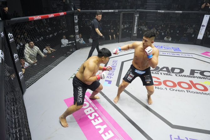 권아솔과 타이세이 경기 모습. 사진=ROAD FC