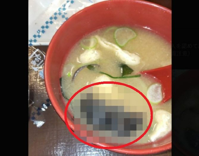 일본의 유명 규동 체인점의 음식에서 죽은 쥐가 발견된 가운데 음식점은 두달 뒤 입장을 밝혔다. (사진=엑스(x) 캡처)