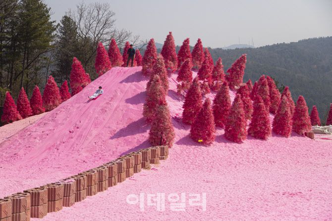 포천 허브아일랜드.(사진=경기관광공사)