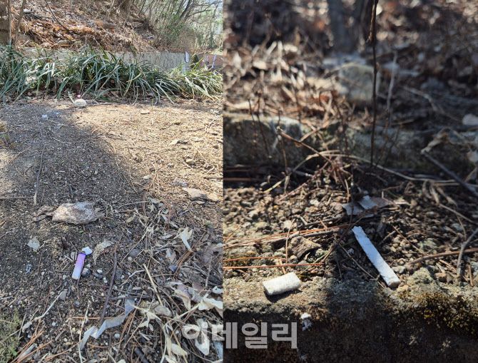 지난 29일 이데일리가 찾은 서울 성북구 개운산(왼쪽)과 관악구 관악산 입구 부근에는 담배꽁초가 버려져 있다. (사진=정윤지 기자