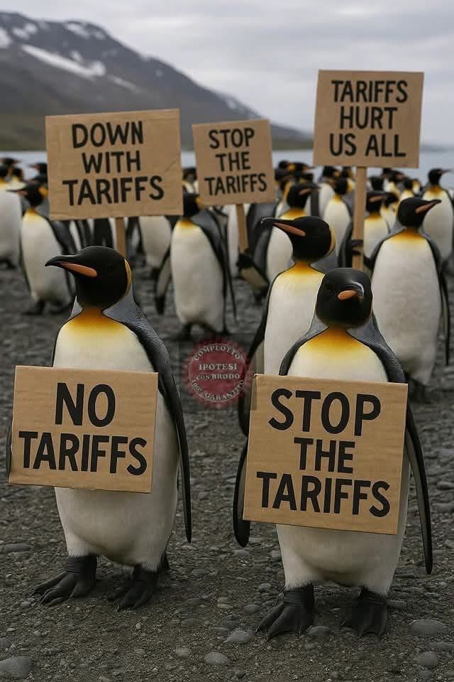 펭귄들이 배 위에 ‘관세 반대’ 등 문구가 적힌 피켓을 붙이고 있거나 날개로 피켓을 들고 있는 합성 사진. (사진=X 갈무리)