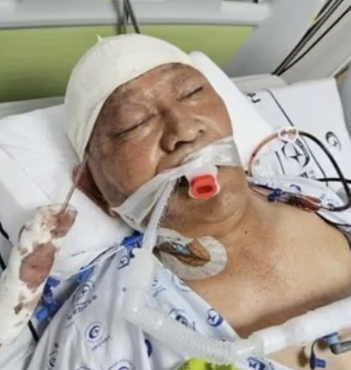 유족 측이 공개한 사진. 사진=온라인 커뮤니티