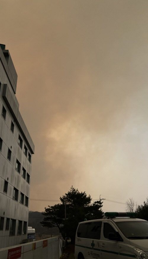 경북도립안동노인병원 인근 산불 사진 (사진=경북도립안동노인병원)