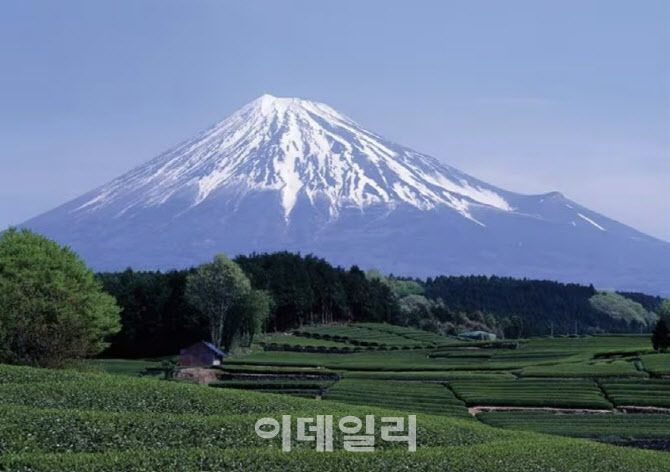 후지산. 사진=뉴시스