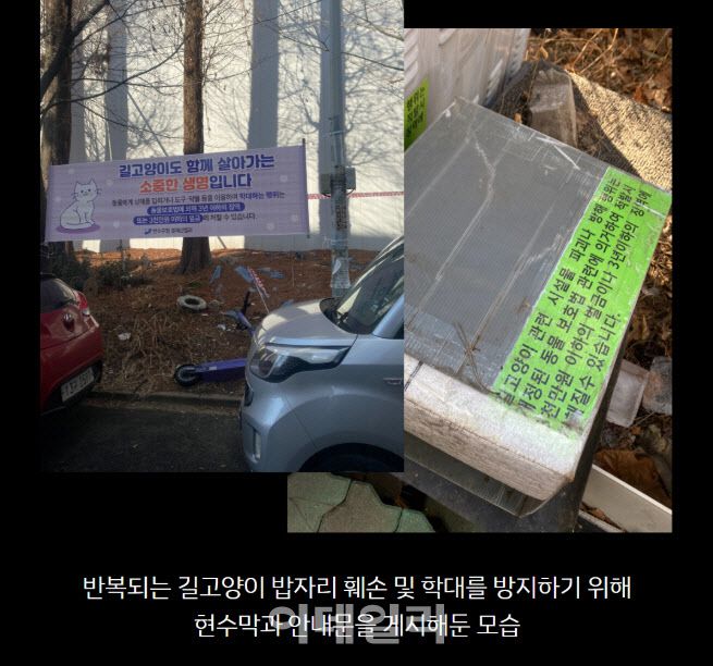 지난 2월 동물보호단체 동물자유연대에 제보가 들어온 길고양이 급식소 근처에 현수막이 설치된 모습(사진=동물자유연대)