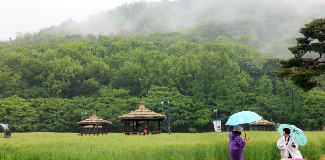 봄비가 내리는 16일 오전 인천 남동구 인천대공원 어울정원 청보리밭에서 시민들이 산책을 하고 있다. (사진=뉴시스)