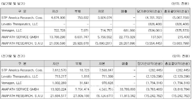 에스티팜의 해외 자회사의 지난해와 2023년 실적 현황. (제공=금융감독원 전자공시)